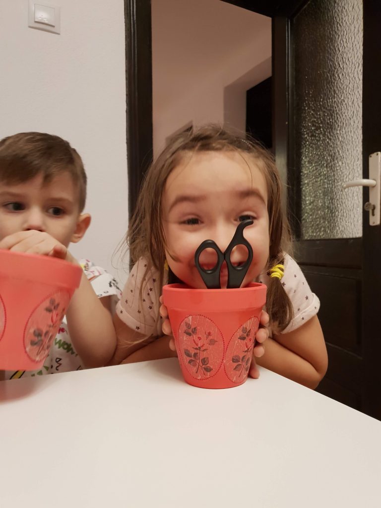 SunshineEdu Poza 20190209_22.jpg