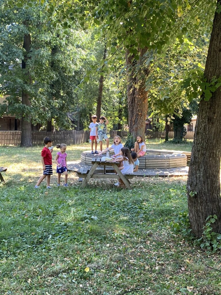 SunshineEdu Poza scoala-de-vara-137.jpg