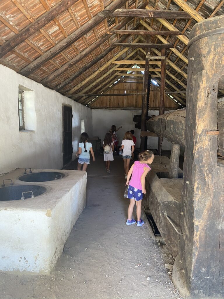 SunshineEdu Poza scoala-de-vara-140.jpg